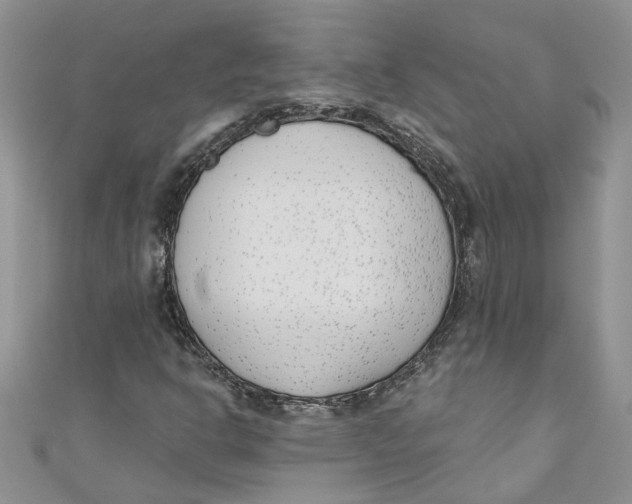 X0000110901302200907091407