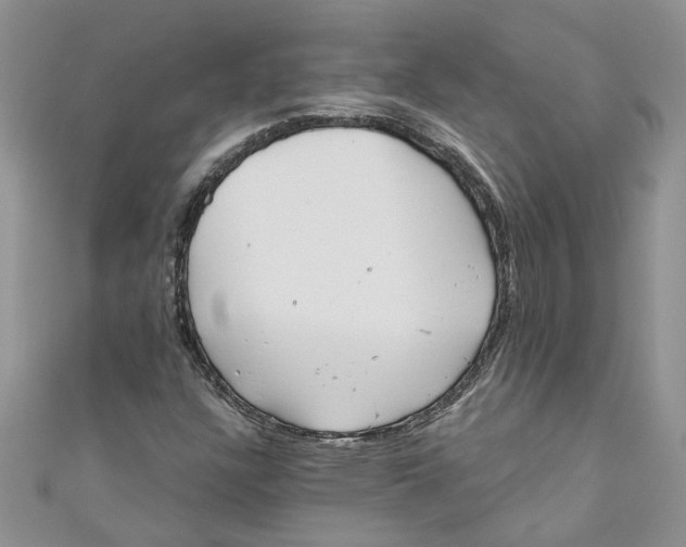 X0000110901304200907091407
