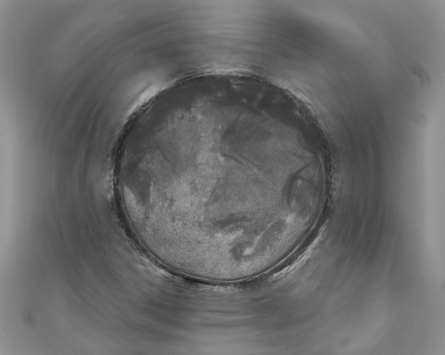 X0000110901306200907091407