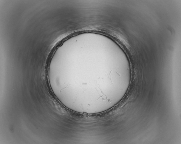 X0000110901308200907091407