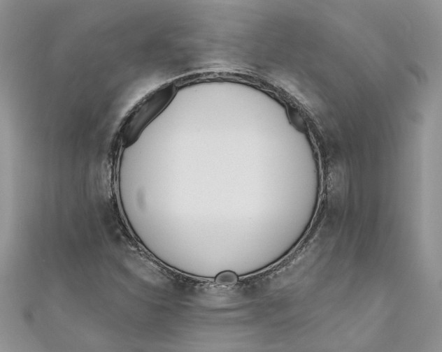 X0000110901310200907091407