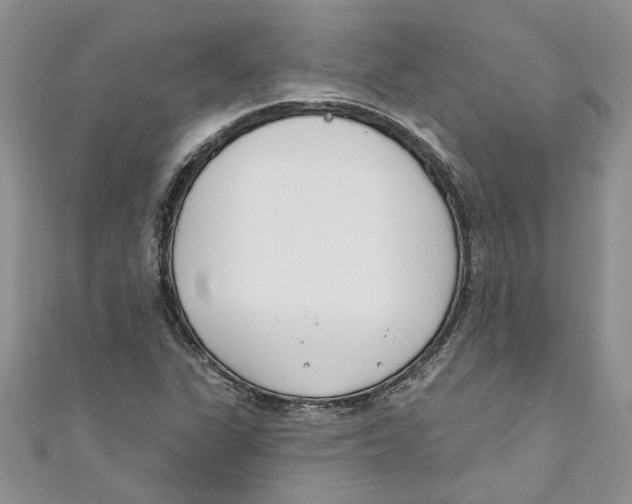 X0000110901311200907091407