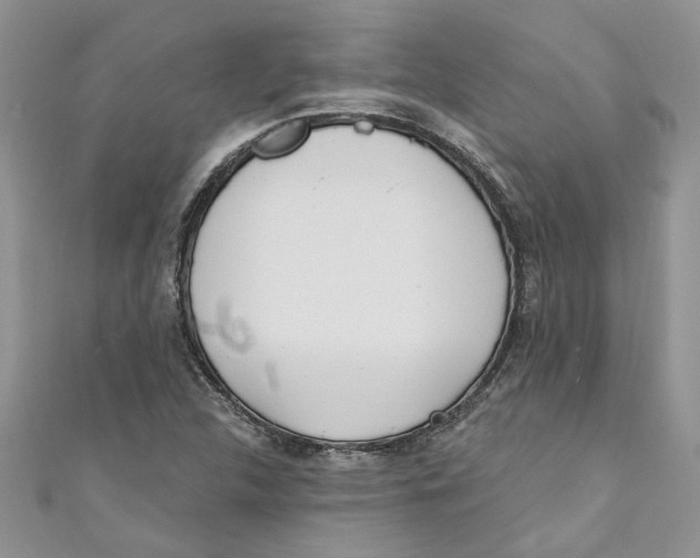 X0000110901312200907091407