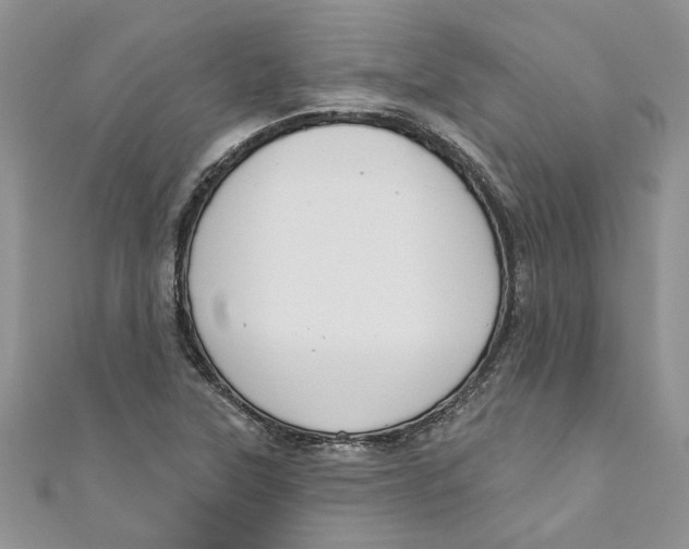 X0000110901315200907091407