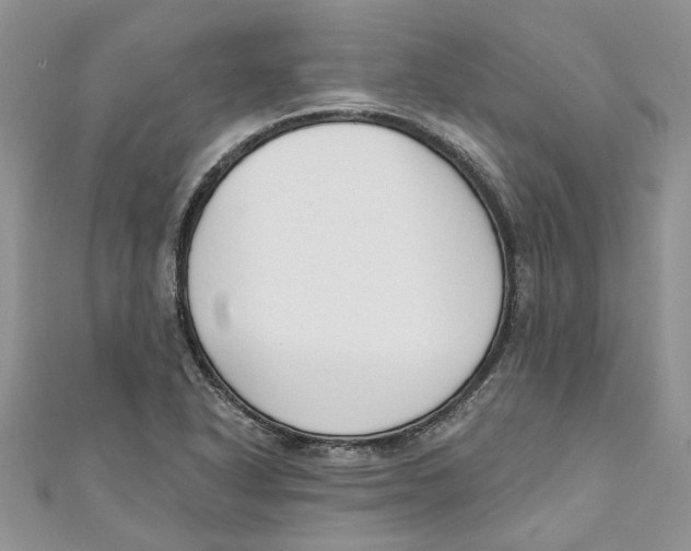 X0000110901318200907091407