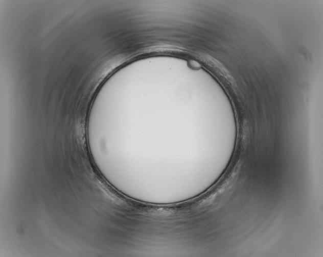 X0000110901321200907091407