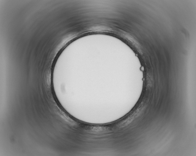 X0000110901322200907091407