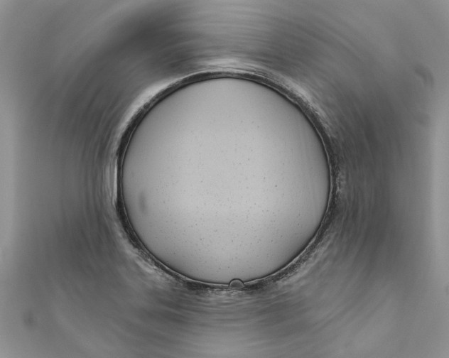 X0000110901323200907091407