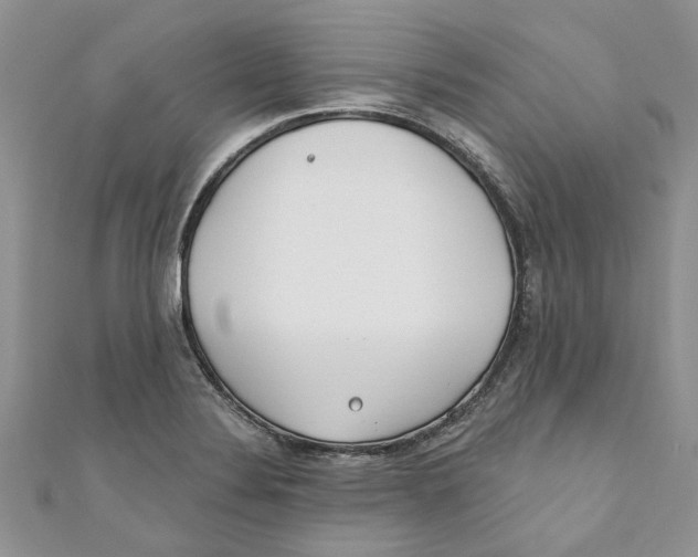 X0000110901324200907091407