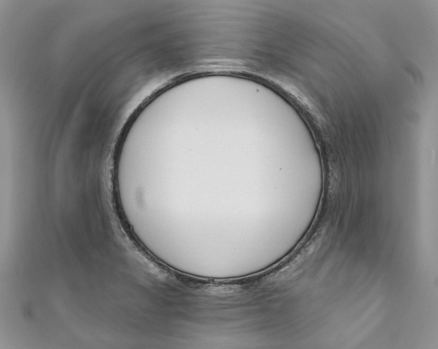 X0000110901325200907091407