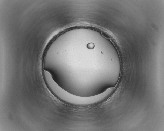 X0000110901326200907091407