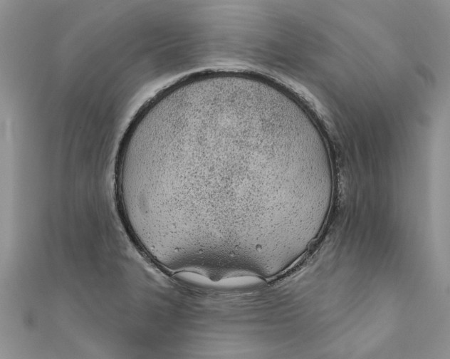X0000110901327200907091407