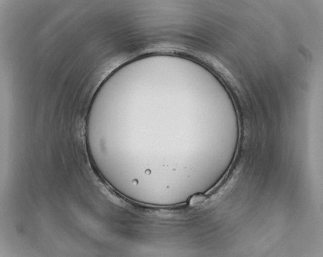 X0000110901329200907091407