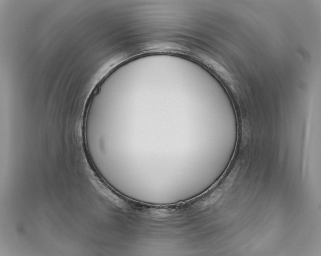 X0000110901330200907091407
