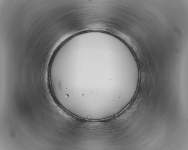 X0000110901331200907091407