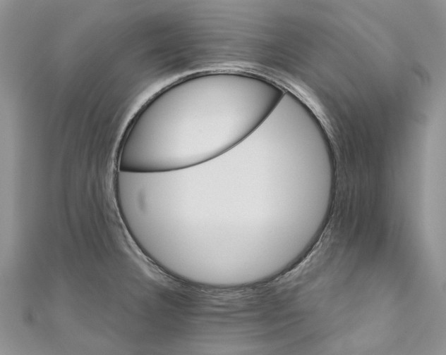 X0000110901332200907091407