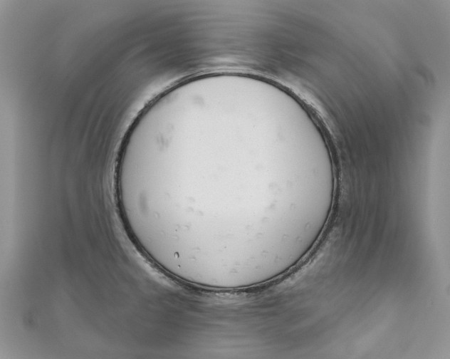 X0000110901333200907091407