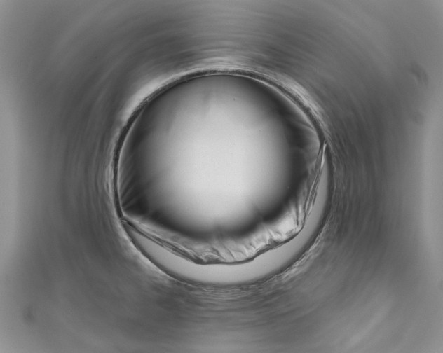 X0000110901334200907091407