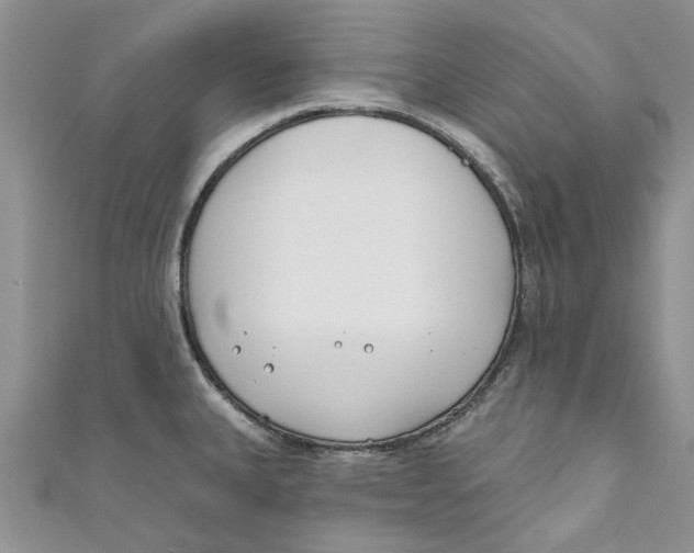 X0000110901335200907091407