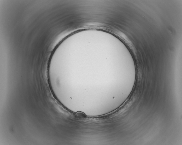 X0000110901336200907091407