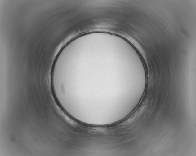 X0000110901341200907091407