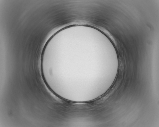 X0000110901343200907091407