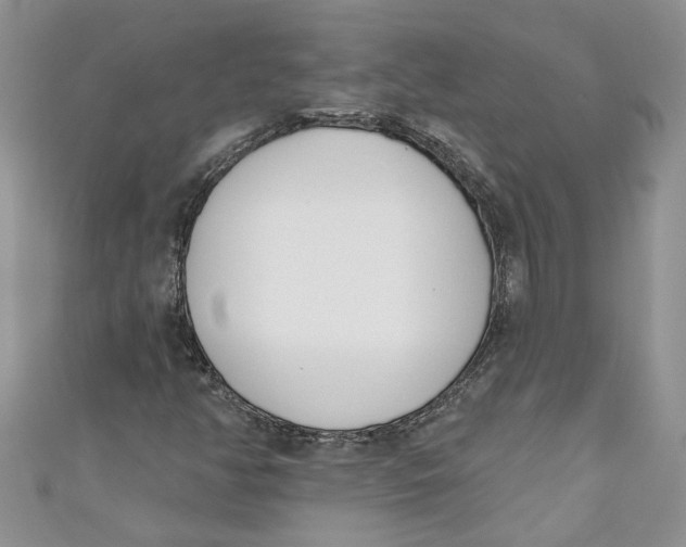 X0000110901350200907091407