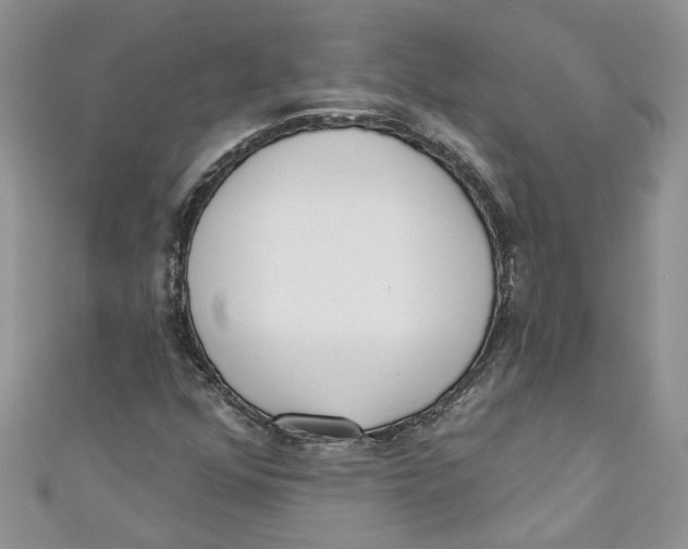 X0000110901352200907091407