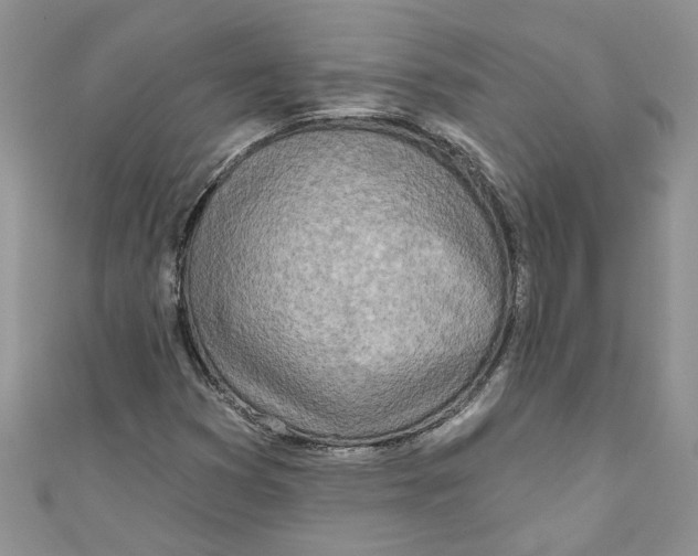 X0000110901353200907091407
