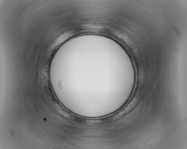 X0000110901354200907091407
