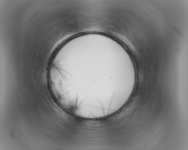 X0000110901356200907091407