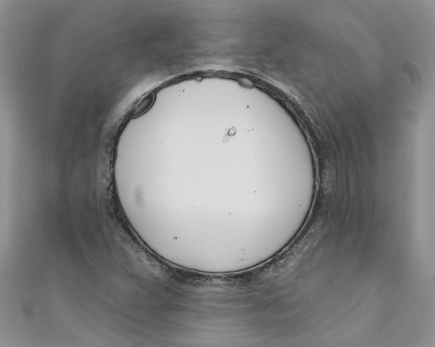 X0000110901359200907091407