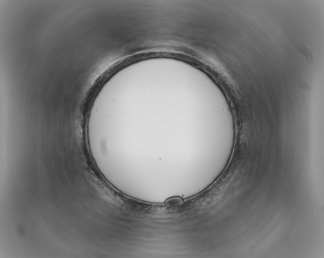 X0000110901360200907091407