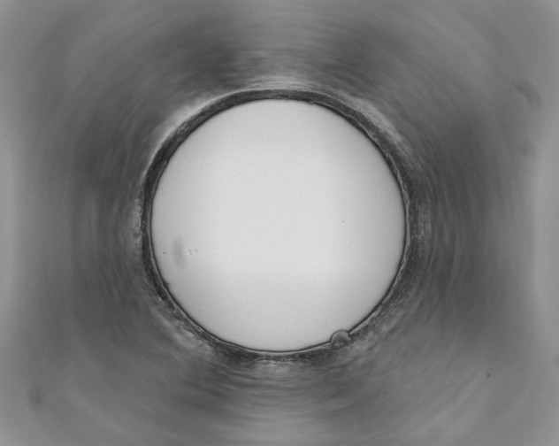 X0000110901364200907091407