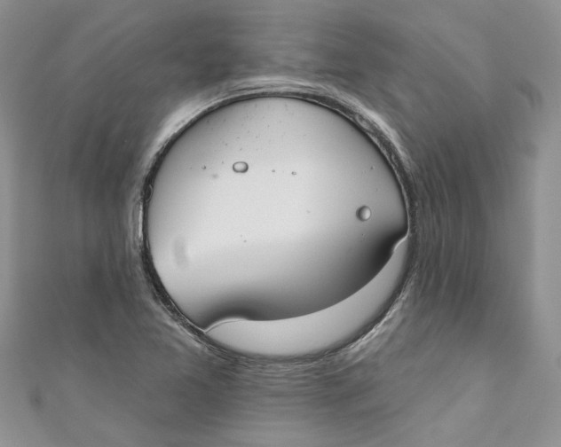 X0000110901365200907091407