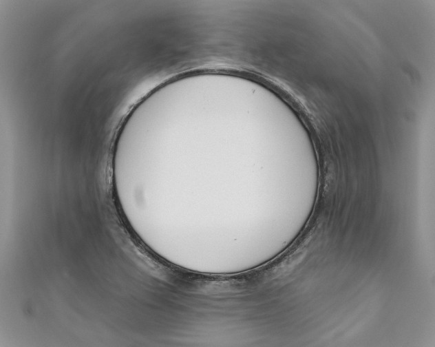 X0000110901367200907091407