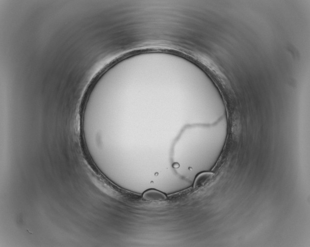 X0000110901372200907091407