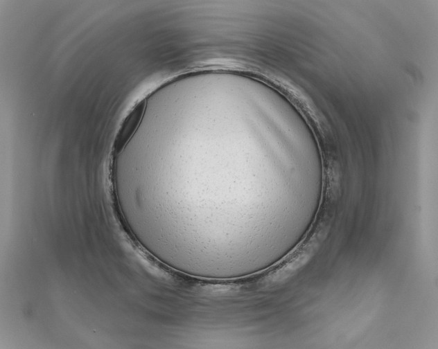 X0000110901373200907091407