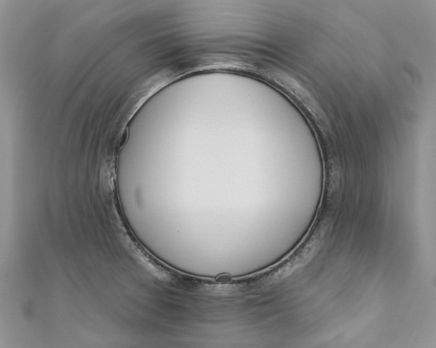 X0000110901377200907091406
