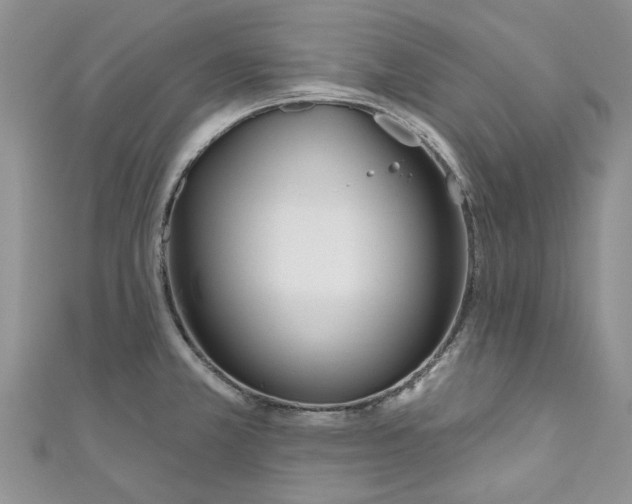X0000110901381200907091406