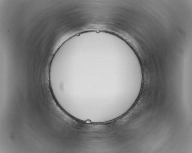 X0000110901382200907091406