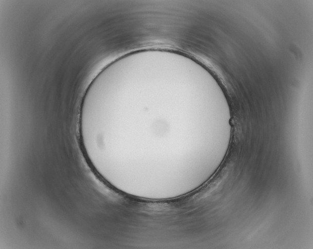 X0000110901383200907091406