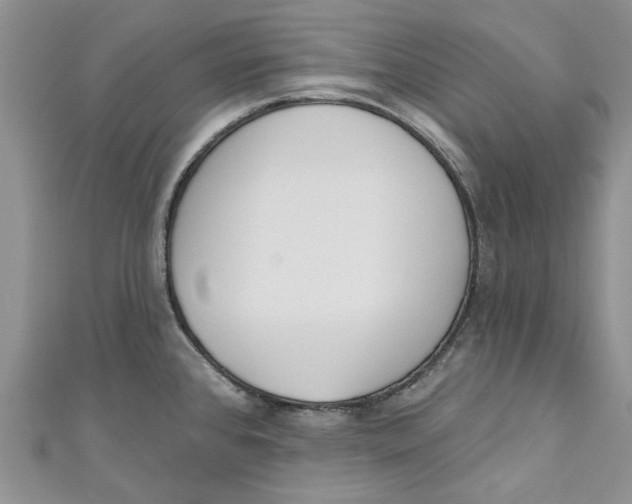 X0000110901384200907091406
