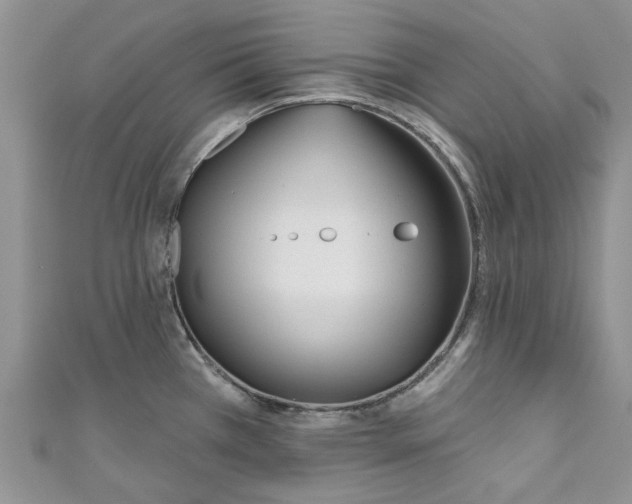 X0000110901385200907091406