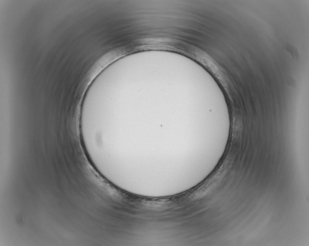 X0000110901386200907091406