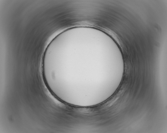 X0000110901387200907091406