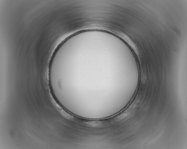 X0000110901388200907091406
