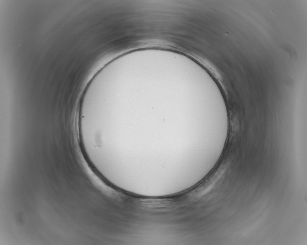 X0000110901391200907091406