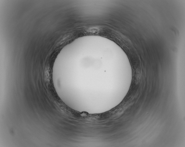 X0000110901394200907091406
