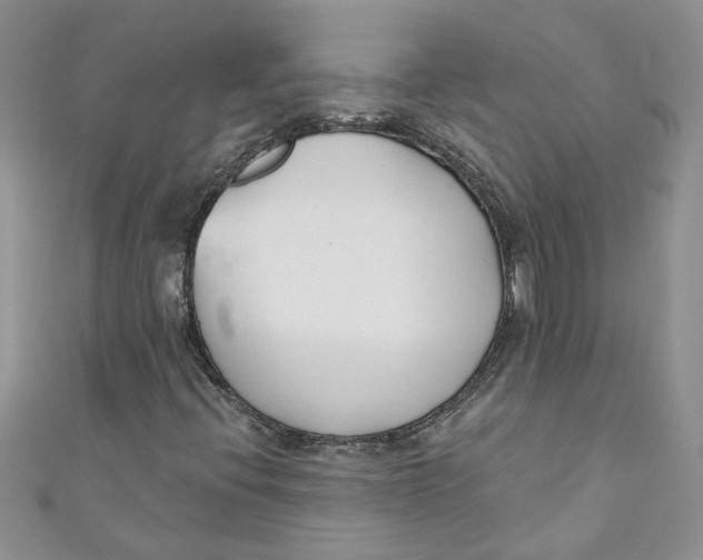X0000110901396200907091406